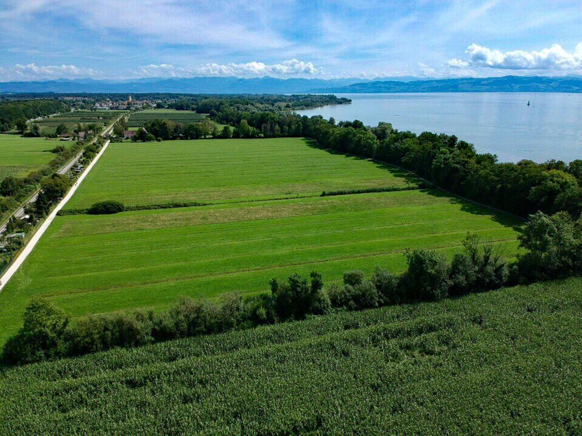 Wohlfuehl-Apartment Sandmuschel Im Naturschutzgebiet Mit Privatstrand FDH Buitenkant foto