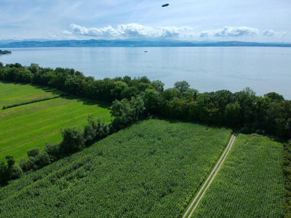 Wohlfuehl-Apartment Sandmuschel Im Naturschutzgebiet Mit Privatstrand FDH Buitenkant foto