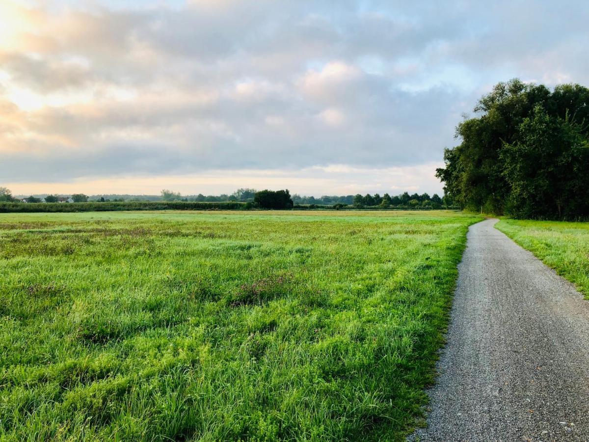 Wohlfuehl-Apartment Sandmuschel Im Naturschutzgebiet Mit Privatstrand FDH Buitenkant foto